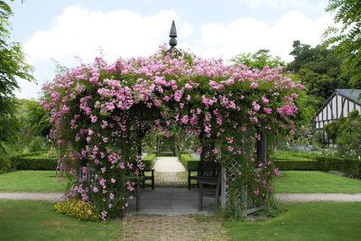 🌸 구마야마 영국정원 (구마야마 에이코쿠 테이엔) 이미지 2